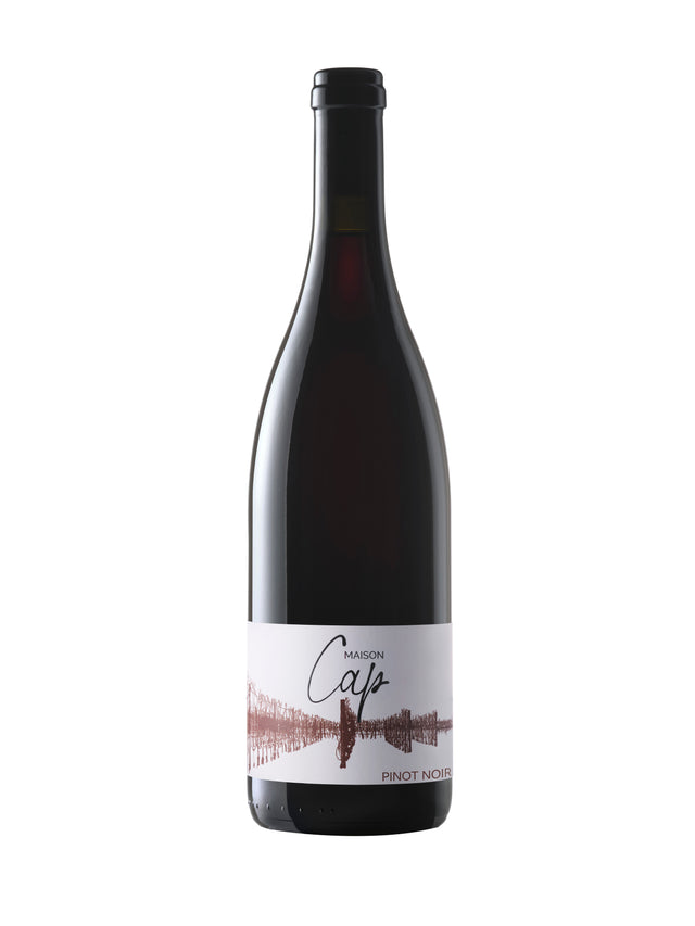 Pinot Noir 2023 - VdP